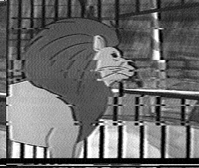 LION.PIC[VIS,HPM]
